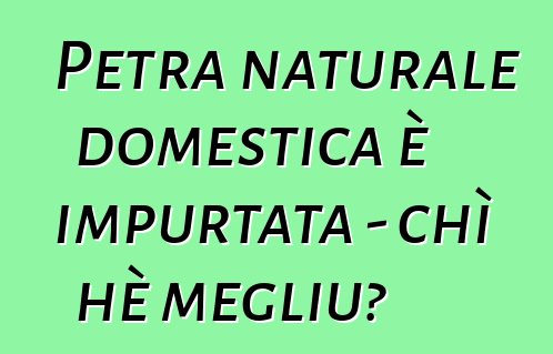 Petra naturale domestica è impurtata - chì hè megliu?