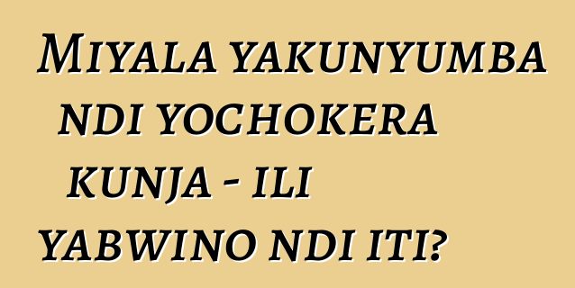 Miyala yakunyumba ndi yochokera kunja - ili yabwino ndi iti?