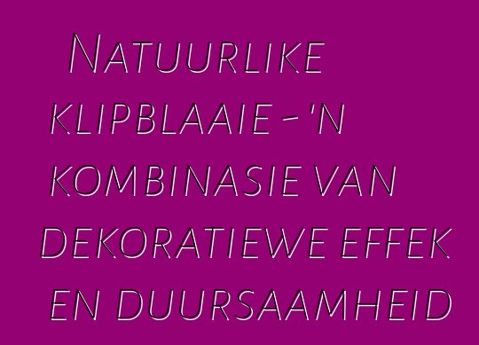 Natuurlike klipblaaie - 'n kombinasie van dekoratiewe effek en duursaamheid