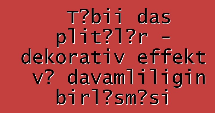 Təbii daş plitələr - dekorativ effekt və davamlılığın birləşməsi