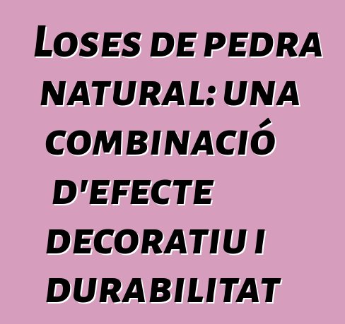 Loses de pedra natural: una combinació d'efecte decoratiu i durabilitat