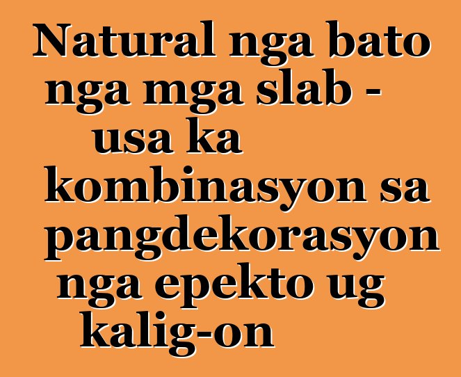 Natural nga bato nga mga slab - usa ka kombinasyon sa pangdekorasyon nga epekto ug kalig-on