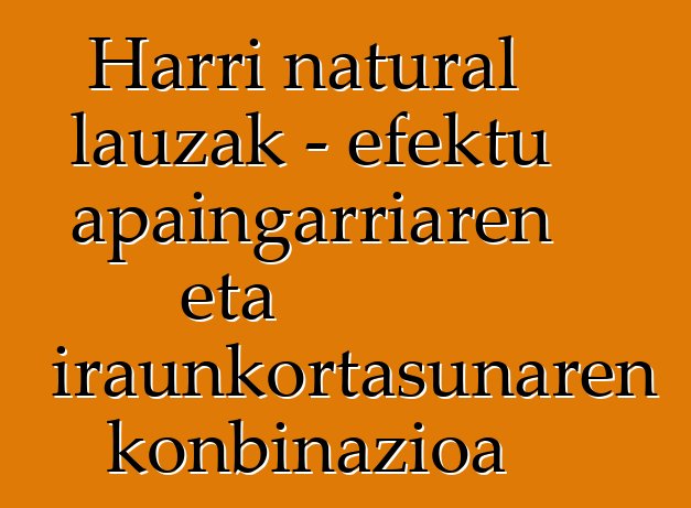 Harri natural lauzak - efektu apaingarriaren eta iraunkortasunaren konbinazioa