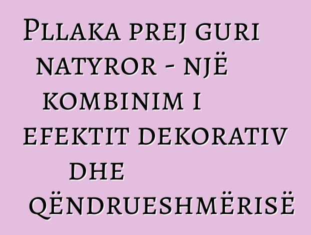 Pllaka prej guri natyror - një kombinim i efektit dekorativ dhe qëndrueshmërisë