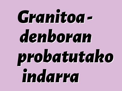 Granitoa - denboran probatutako indarra