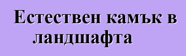 Естествен камък в ландшафта