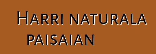 Harri naturala paisaian