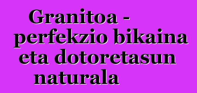 Granitoa – perfekzio bikaina eta dotoretasun naturala