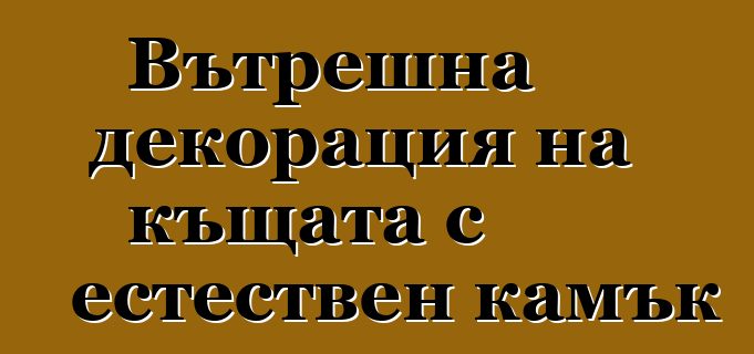 Вътрешна декорация на къщата с естествен камък