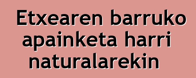 Etxearen barruko apainketa harri naturalarekin