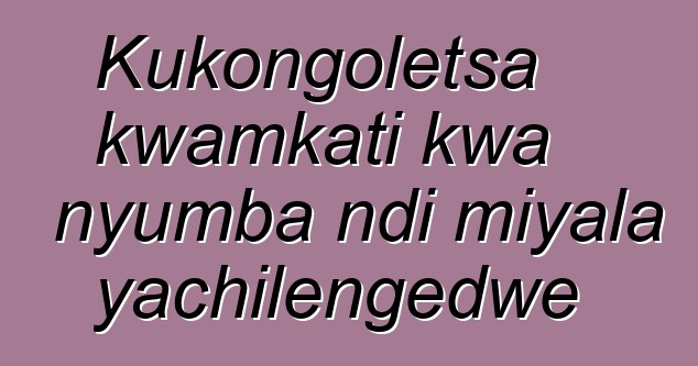 Kukongoletsa kwamkati kwa nyumba ndi miyala yachilengedwe