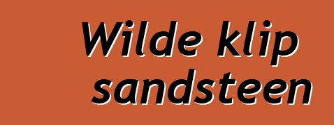 Wilde klip sandsteen