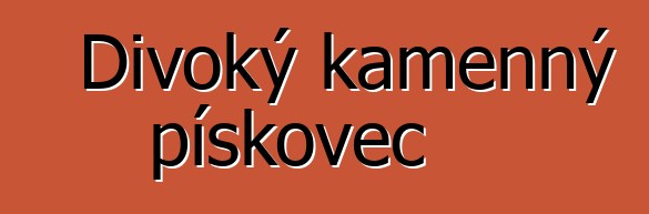 Divoký kamenný pískovec