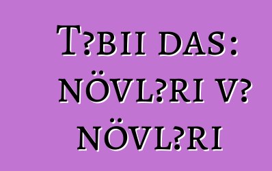 Təbii daş: növləri və növləri