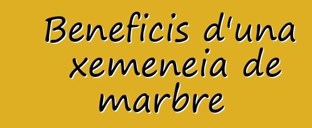 Beneficis d'una xemeneia de marbre