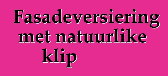 Fasadeversiering met natuurlike klip