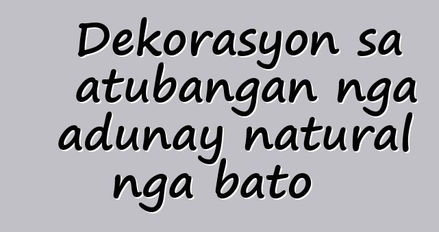 Dekorasyon sa atubangan nga adunay natural nga bato