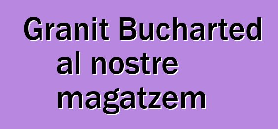 Granit Bucharted al nostre magatzem