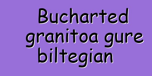 Bucharted granitoa gure biltegian