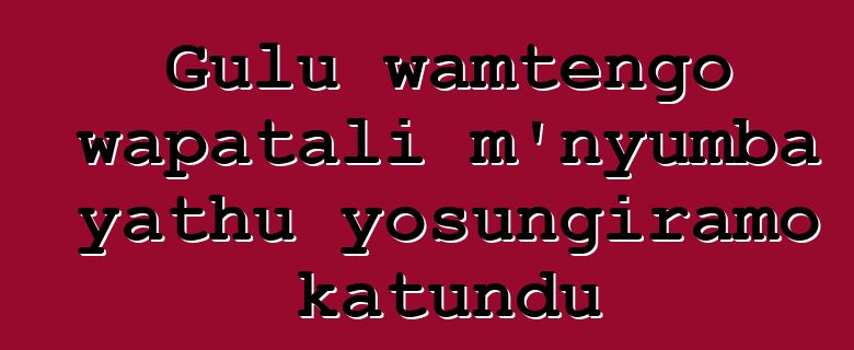 Gulu wamtengo wapatali m'nyumba yathu yosungiramo katundu