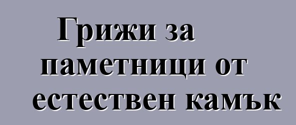 Грижи за паметници от естествен камък