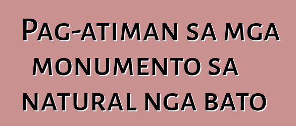 Pag-atiman sa mga monumento sa natural nga bato