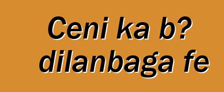 Cɛɲi ka bɔ dilanbaga fɛ