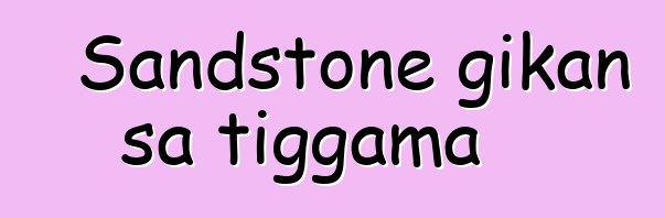 Sandstone gikan sa tiggama