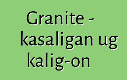 Granite - kasaligan ug kalig-on