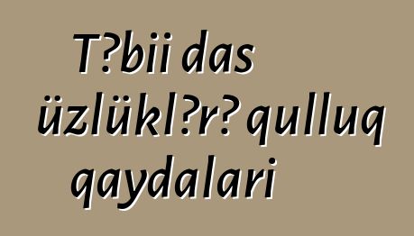 Təbii daş üzlüklərə qulluq qaydaları