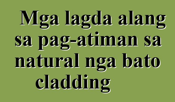 Mga lagda alang sa pag-atiman sa natural nga bato cladding