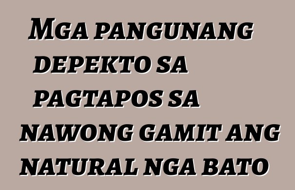 Mga pangunang depekto sa pagtapos sa nawong gamit ang natural nga bato