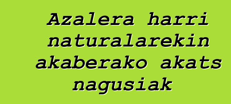 Azalera harri naturalarekin akaberako akats nagusiak