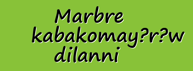 Marbre kabakomayɔrɔw dilanni