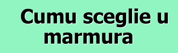 Cumu sceglie u marmura