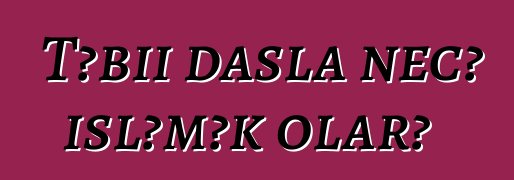 Təbii daşla necə işləmək olar?