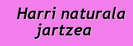 Harri naturala jartzea