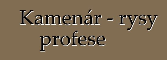 Kamenář – rysy profese