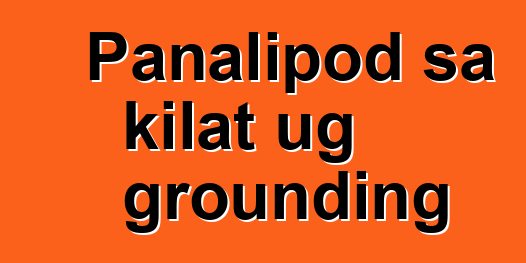 Panalipod sa kilat ug grounding