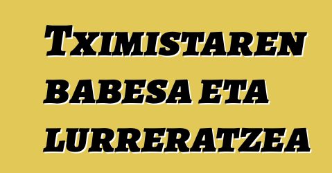 Tximistaren babesa eta lurreratzea