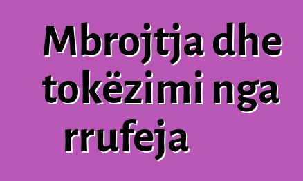 Mbrojtja dhe tokëzimi nga rrufeja