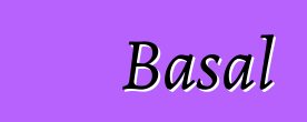 Basal