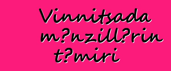 Vinnitsada mənzillərin təmiri