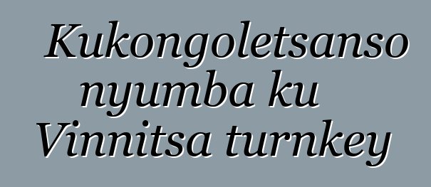 Kukongoletsanso nyumba ku Vinnitsa turnkey