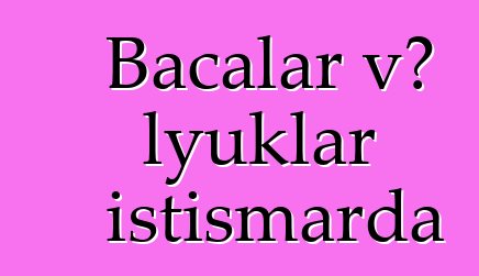 Bacalar və lyuklar istismarda