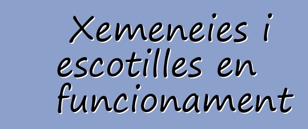 Xemeneies i escotilles en funcionament