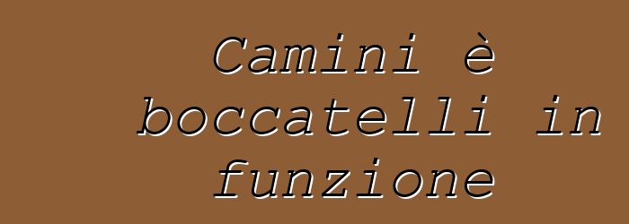 Camini è boccatelli in funzione