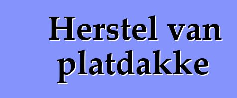 Herstel van platdakke