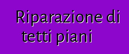 Riparazione di tetti piani