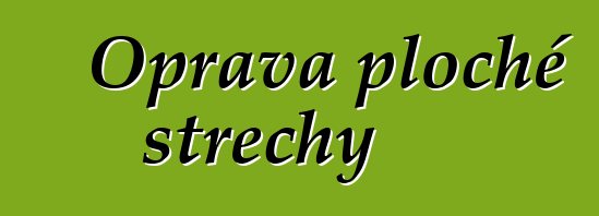 Oprava ploché střechy